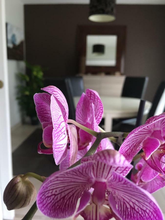 べグルNano Houseアパートメント エクステリア 写真
